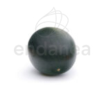 Sandía Negra Planta Hortícola Fruto