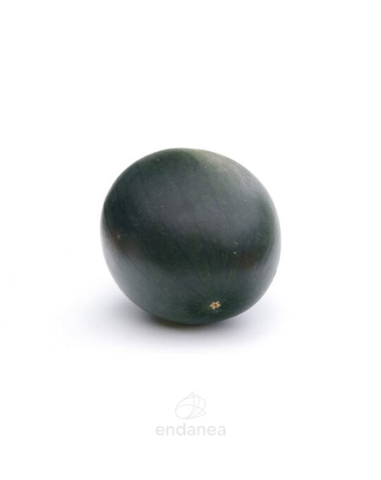 sandia-negra-planta-horticola-fruto