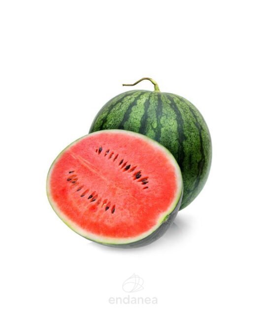 sandia-rayada-con-semilla-injertada-fruto