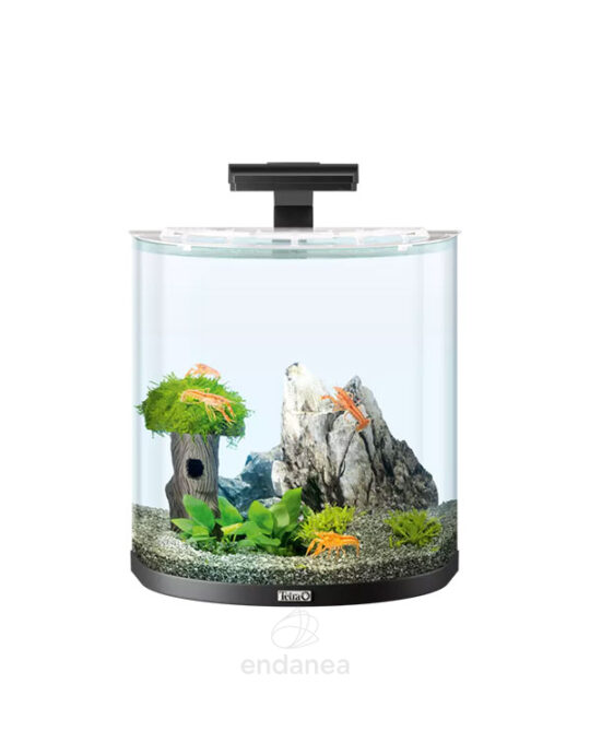 tetra-aquaart-explorer-line-30l-acuario-negro