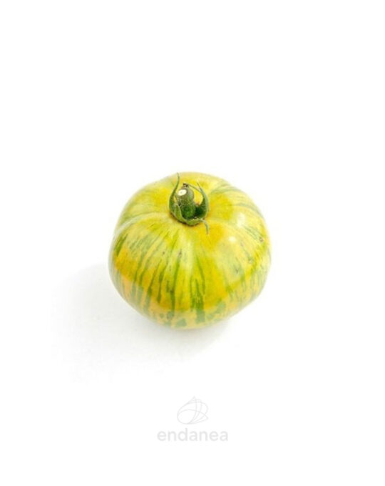 tomate-cebra-amarillo-verde-fruto