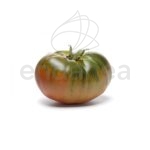 Tomate Muchamiel