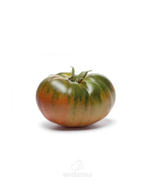 tomate-muchamiel-eco-planta-horticola-fruto