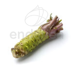 Wasabi Japonica Raíz