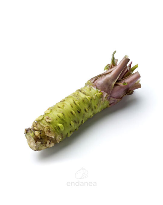 wasabi-japonica-planta-horticola-raiz