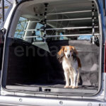 Barras Protectoras para Coche Friends on Tour de Trixie