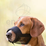 Bozal con Red Incorporada de Trixie