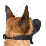 Bozal Ajustable Acolchado Neopreno Perro