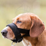Bozal Ajustable Acolchado Neopreno Perro
