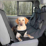 Funda Protectora Asientos Coche Gris de Trixie Perro