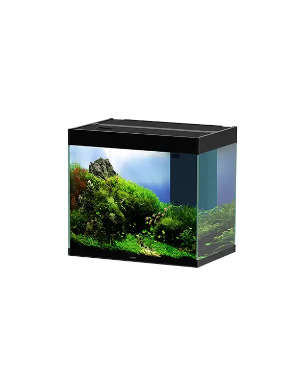 acuario-emotions-pro-60-negro-ciano