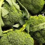 Brócoli Planta 12 unidades
