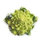 Coliflor Romanesco Planta 6 unidades