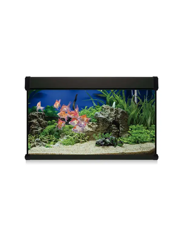 kit-aqua-lux-pro-100-negro-con-filtro-interior