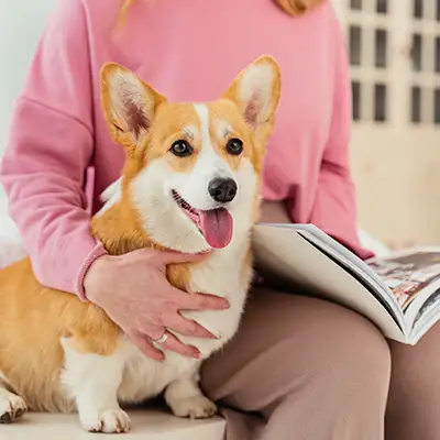 Curso Comunicación Canina en Endanea Garden Parte 1