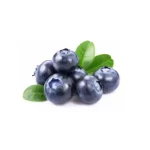 Arándano Fruto