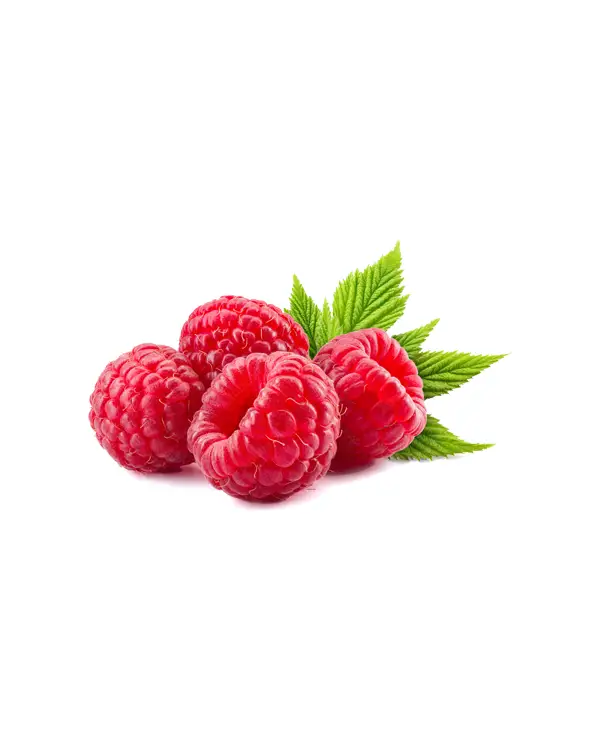 frutos-del-bosque-frambuesa-fruto