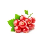Grosella Roja Fruto