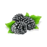 Mora Negra Fruto