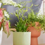 Maceta Elho Vibes Fold Round Mini Verde Sorbete