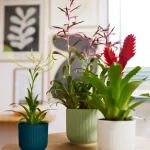 Maceta Elho Vibes Fold Round Verde Sorbete interior