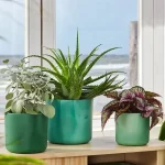 Maceta Elho Ocean Collection Round Verde Pacífico interior