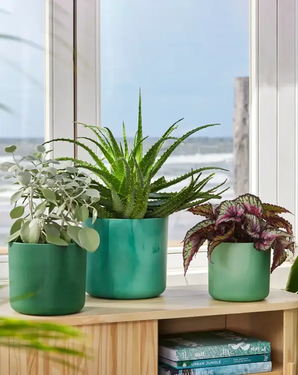 maceta-ocean-collection-round-verde-pacifico-interior