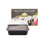 Set Cultivo de Setas