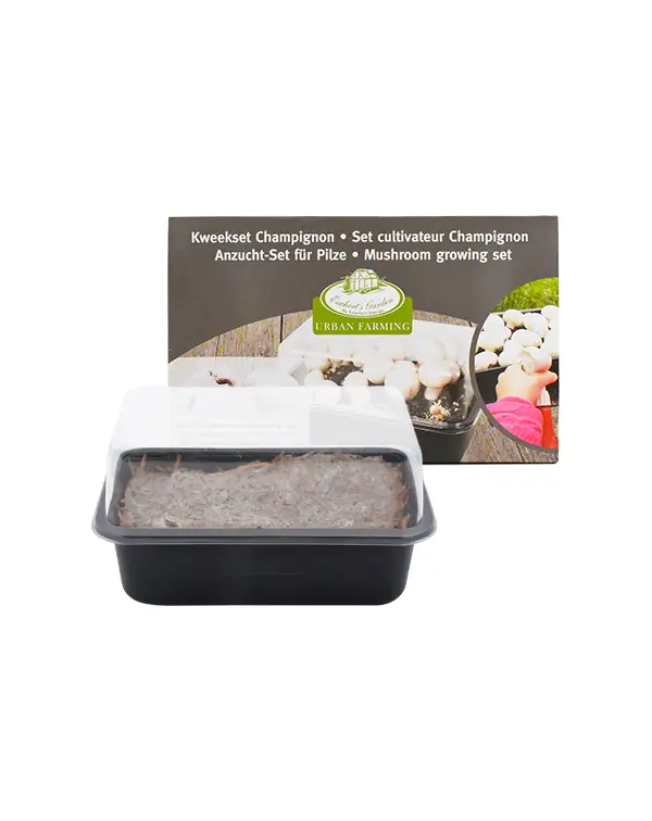 set-cultivo-setas-champinones-idea-regalo