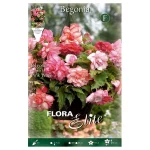 Bulbo Begonia Péndula Flora Elite Rosa (Pink Wave)