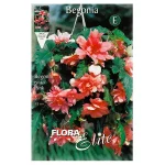 Bulbo Begonia Péndula Flora Elite Rosa