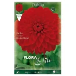 Bulbo Dalia Decorativa Deutschland - Flora Elite