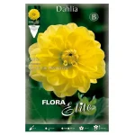 Bulbo Dalia Decorativa Glorie Van Heemstede - Flora Elite