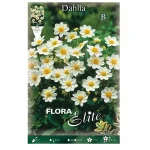 Bulbo Dalia Topmix Blanca - Flora Elite