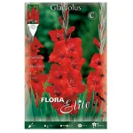 Bulbo Gladiolo Mascagni Rojo - Flora Elite