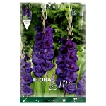 Bulbo Gladiolo Purple Flora Morado - Flora Elite