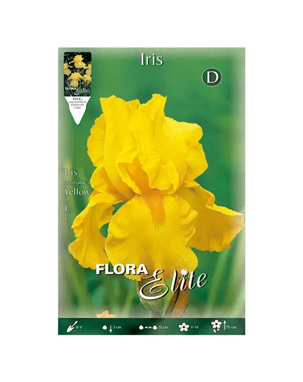 bulbo-iris-germanica-flora-elite-amarilla
