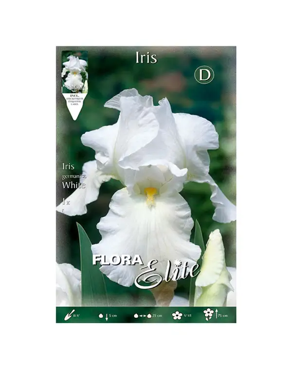 bulbo-iris-germanica-flora-elite-blanco