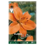 Bulbo Lilium Asiatic Flora Elite Naranja