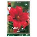 Bulbo Lilium Asiatic Flora Elite Rojo