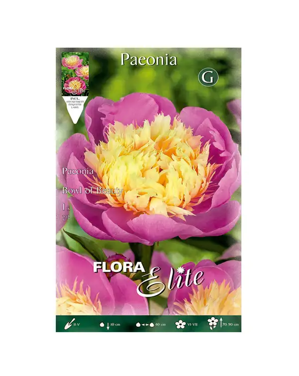 bulbo-peonia-flora-elite-bowl-of-beauty-rosa-amarillo