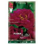 Bulbo Peonía Flora Elite Rojo (Karl Rosenfield)