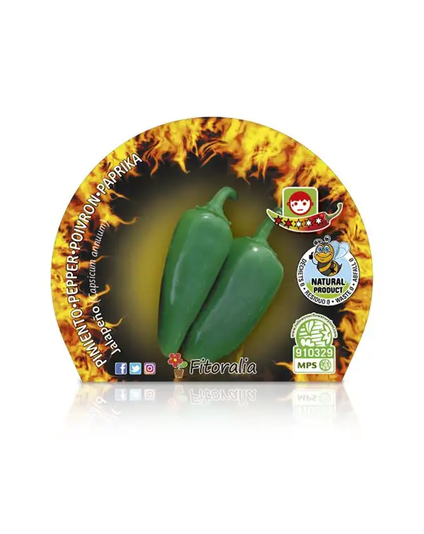 pimiento-picante-jalapeno-fitoralia-etiqueta-horticolas