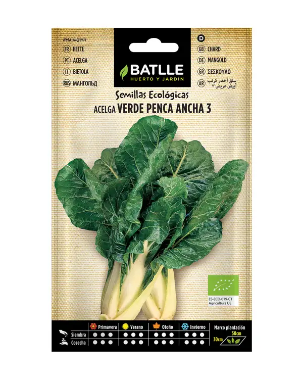 semillas-ecologicas-acelga-verde-penca-ancha-3-batlle
