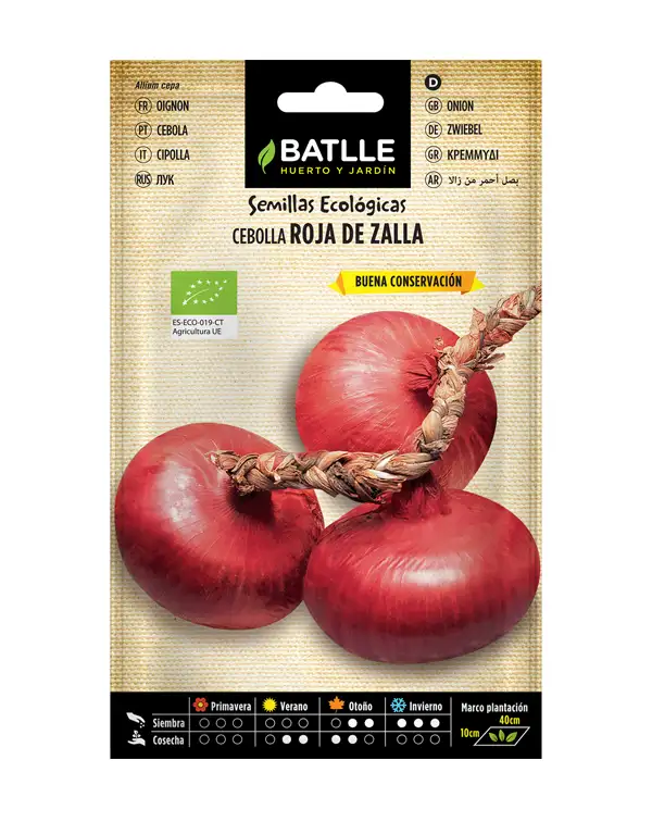 semillas-ecologicas-cebolla-roja-de-zalla-batlle