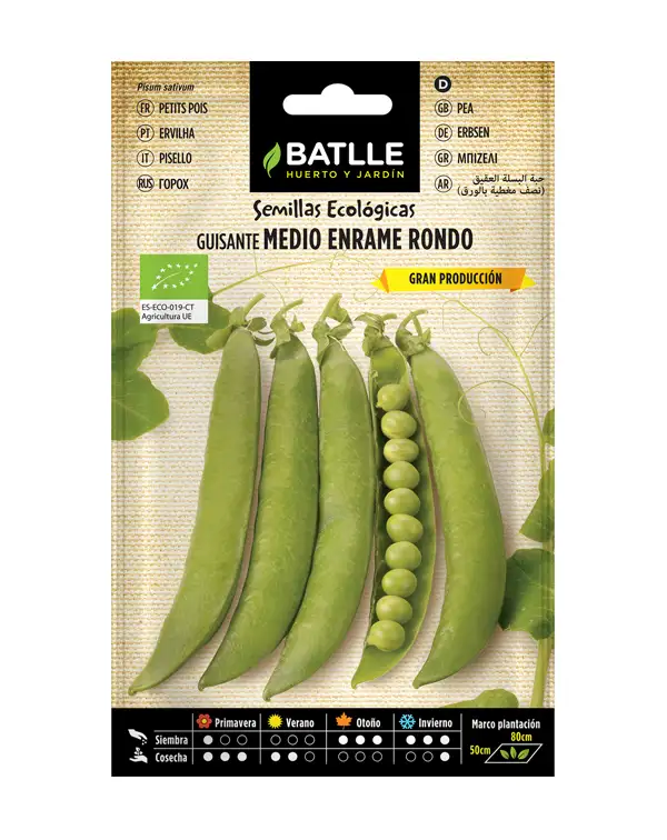 semillas-ecologicas-guisante-medio-enrame-rondo-batlle