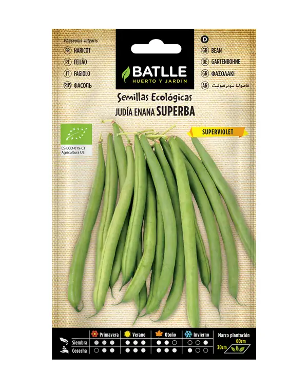 semillas-ecologicas-judia-enana-superba-superviolet