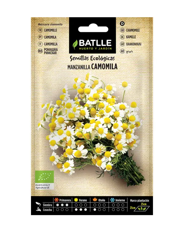 semillas-ecologicas-manzanilla-camomila-batlle
