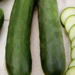 Semillas Ecológicas Pepino Medio Largo Marketmore 70 Batlle