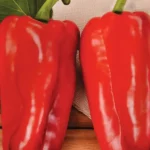 Semillas Ecológicas Pimiento Largo De Reus de Batlle